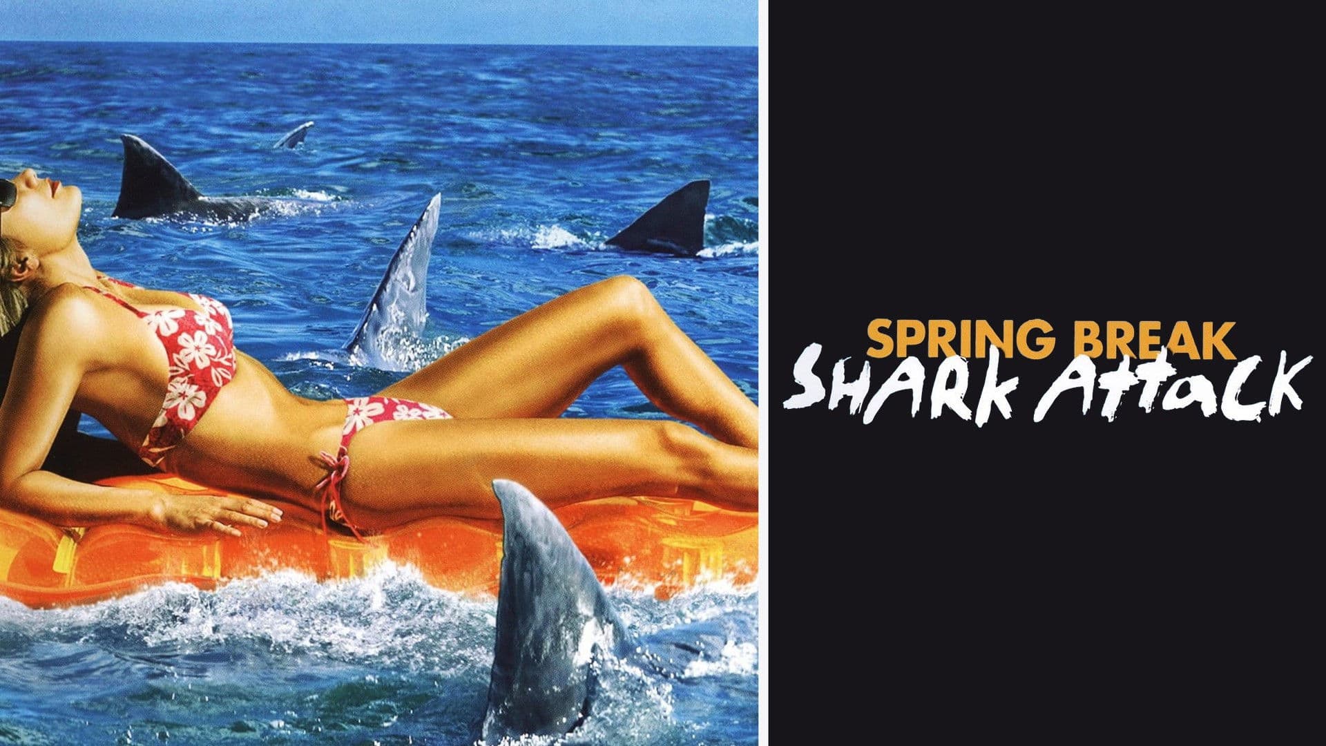 Spring Break Shark Attack