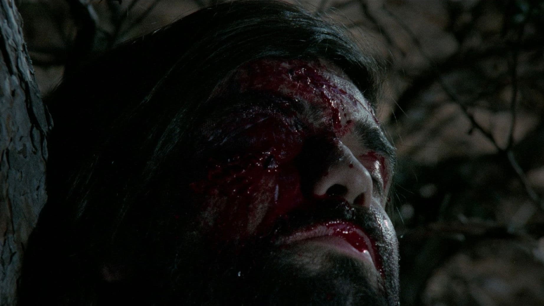 The Werewolf Versus the Vampire Woman