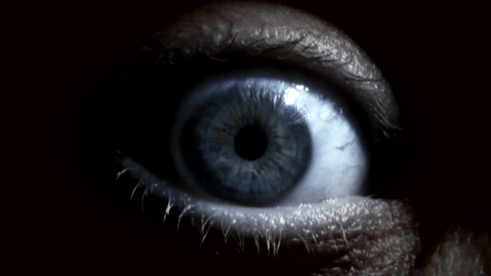 Symphony In Blood Red