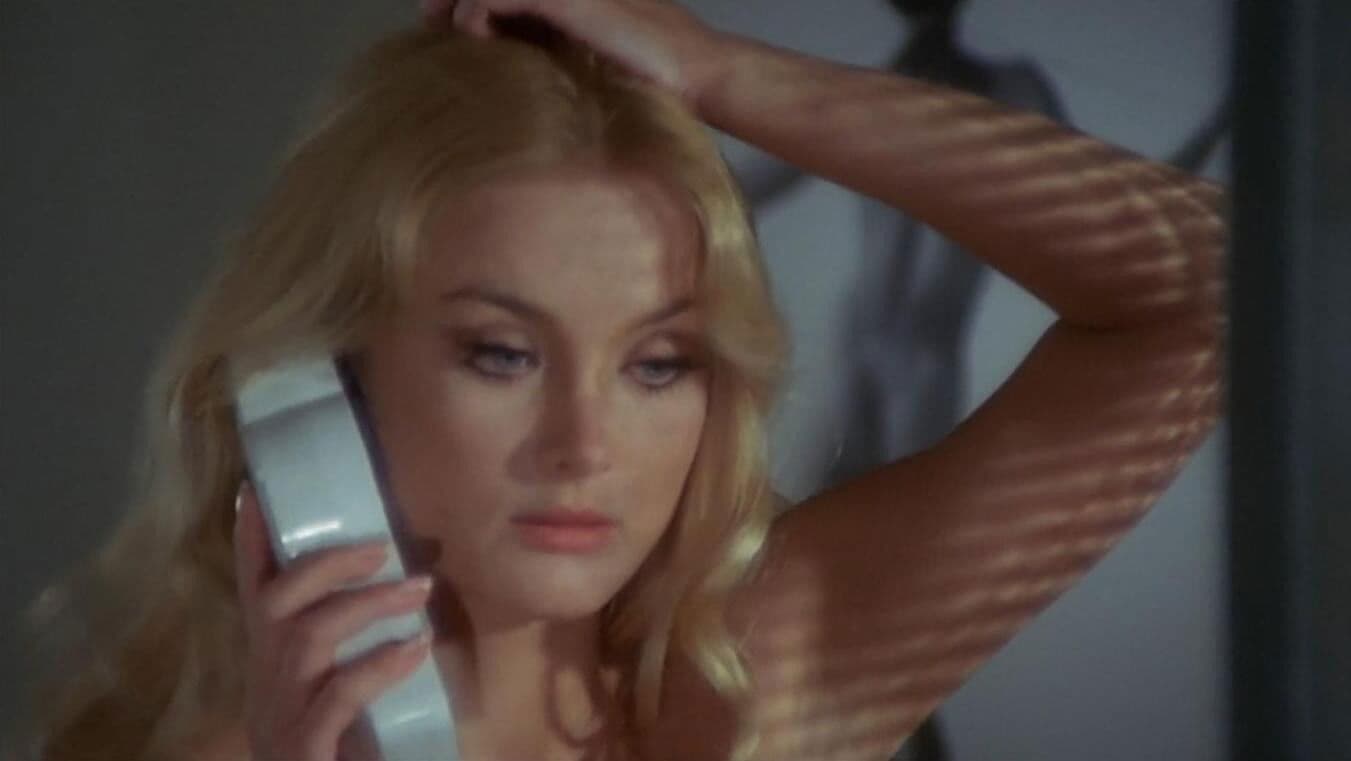 The Black Belly of the Tarantula