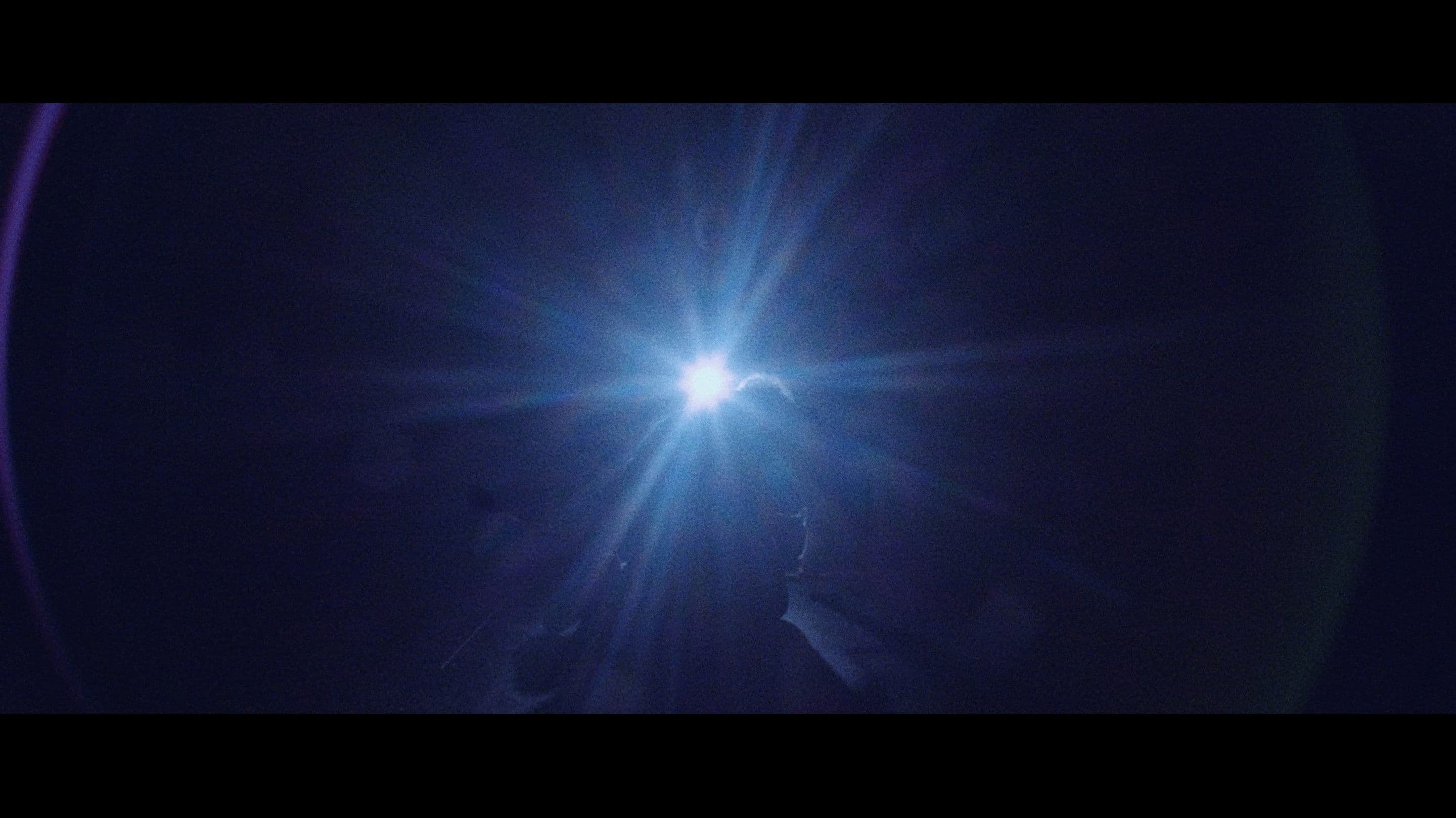 The Five Fingers of a Dog