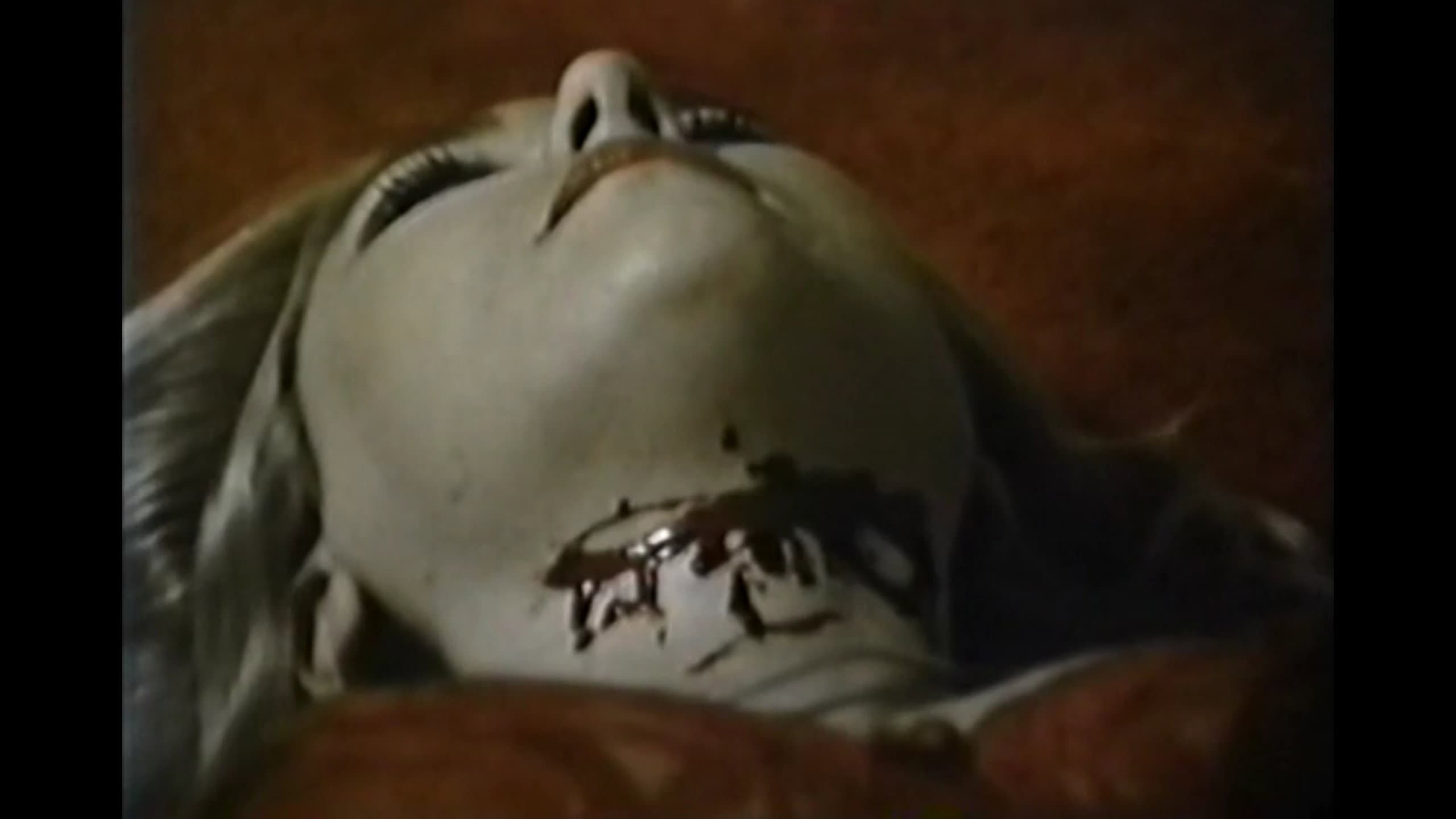 Lisa's Nighmares 4