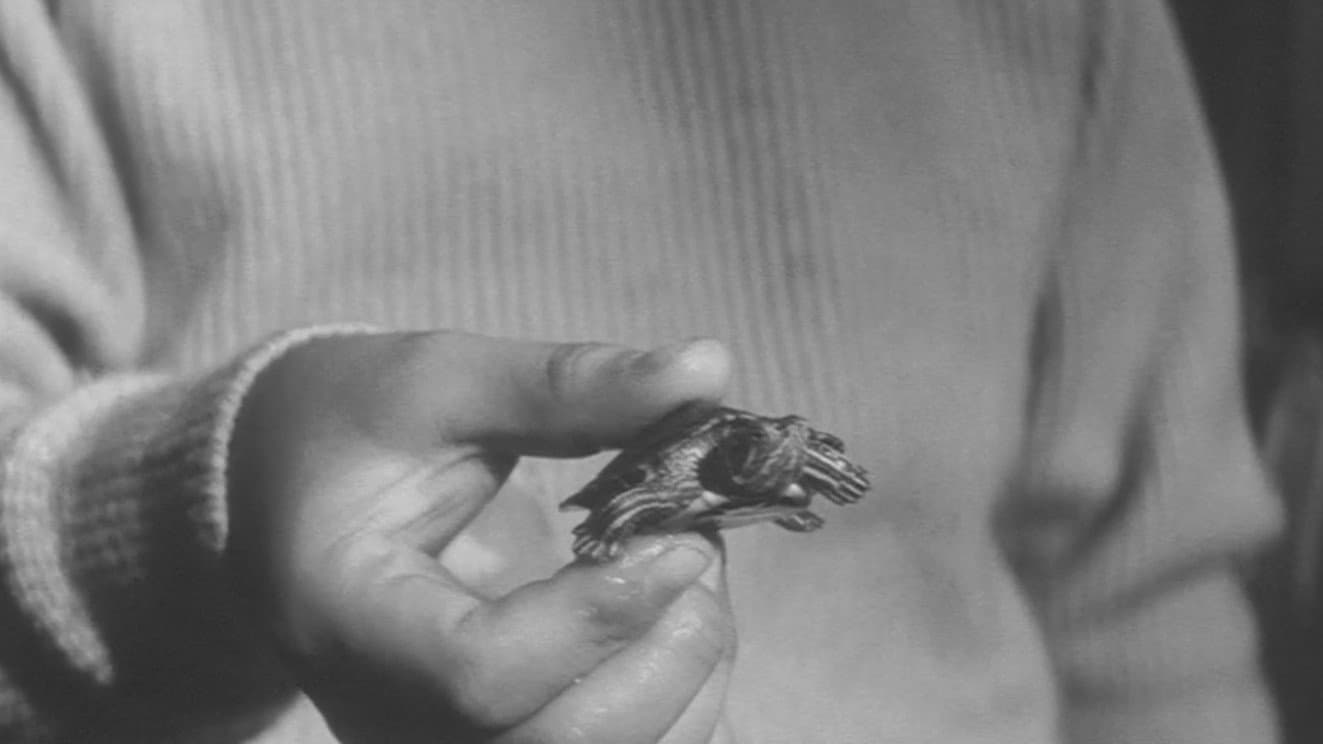 Gamera, the Giant Monster