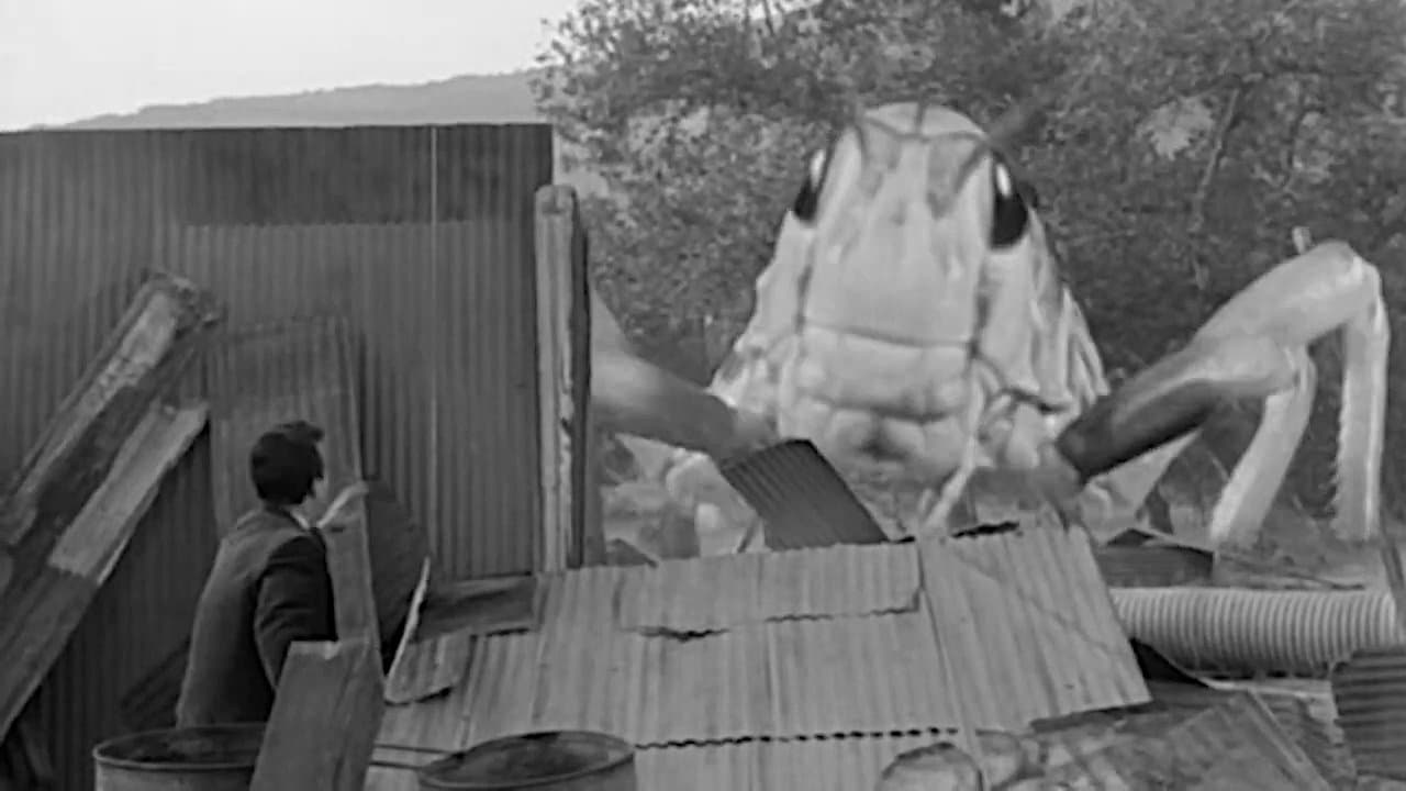 Beginning of the End