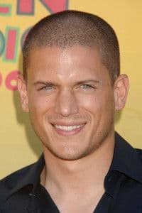 Wentworth Miller photo