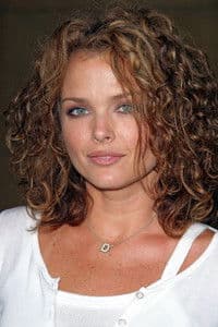 Dina Meyer photo