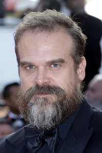 David Harbour photo