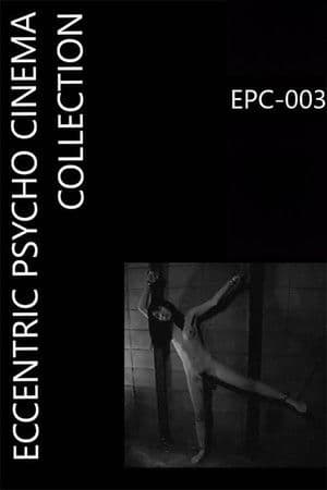 Female Body Collection: Stewardess Risa