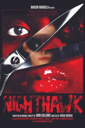 Nighthawk: Maison Margiela Artisanal 2024