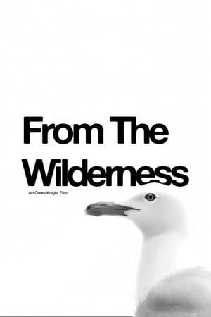 From The Wilderness