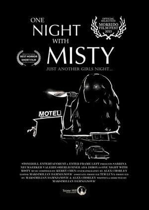 One Night with Misty