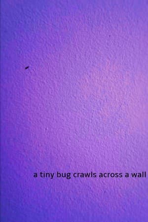 a tiny bug crawls across a wall