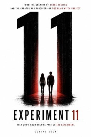 Experiment 11