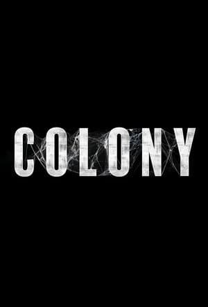 Colony