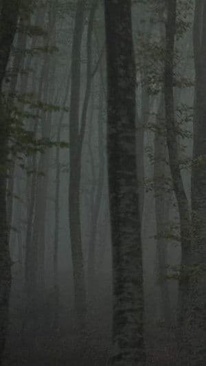 Refuge II: The Ice Path