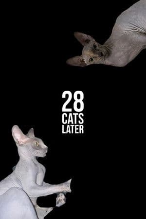 28 Cats Later