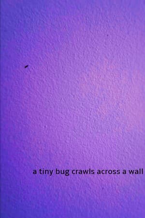 a tiny bug crawls across a wall