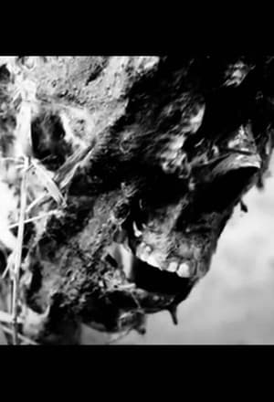 Sleepaway Camp 2: What Happened to Molly?