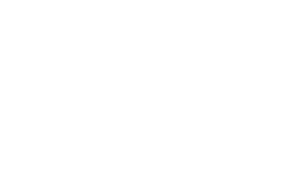 The Only Ones Logo