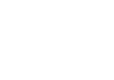 Ring 0 Logo