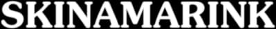 Skinamarink Logo