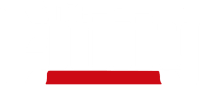 The Entity Logo
