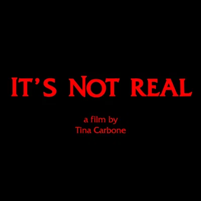 It's Not Real Logo