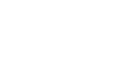 Ring 2 Logo