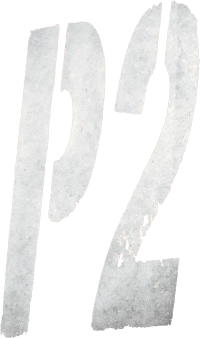 P2 Logo