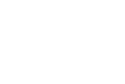 Soul Reaper Logo