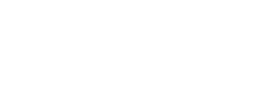 Darkman II: The Return of Durant Logo