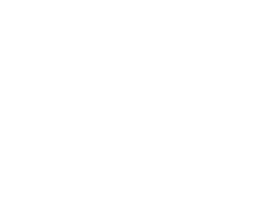 Dead Birds Logo