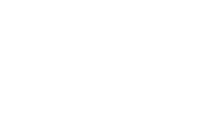Edgar Allan Poe's The Oval Portrait Logo