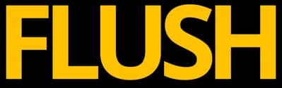 Flush Logo